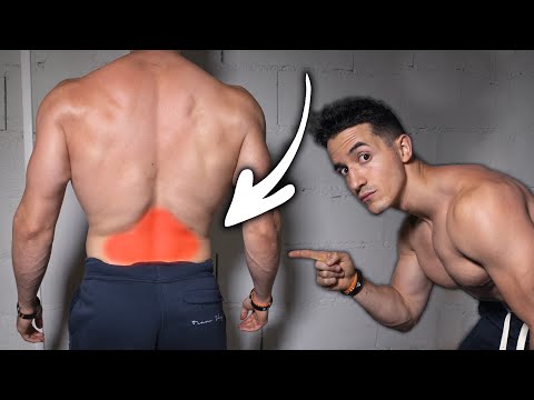 Vidéo: Comment Renforcer Les Muscles Du Bas Du Dos