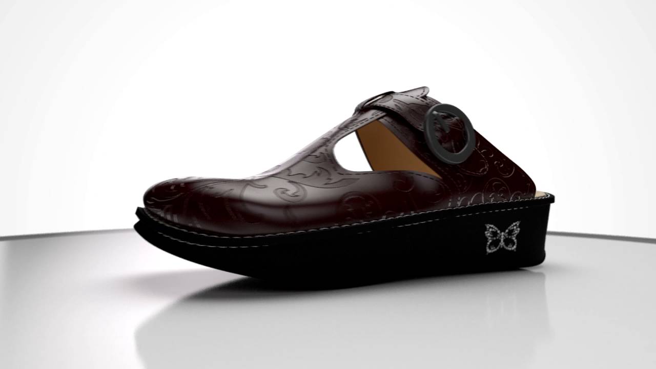 Alegria's Secrets of Happiness