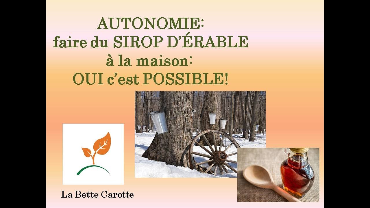 Sirop D érable Maison Comment C Est Fait | Ventana Blog