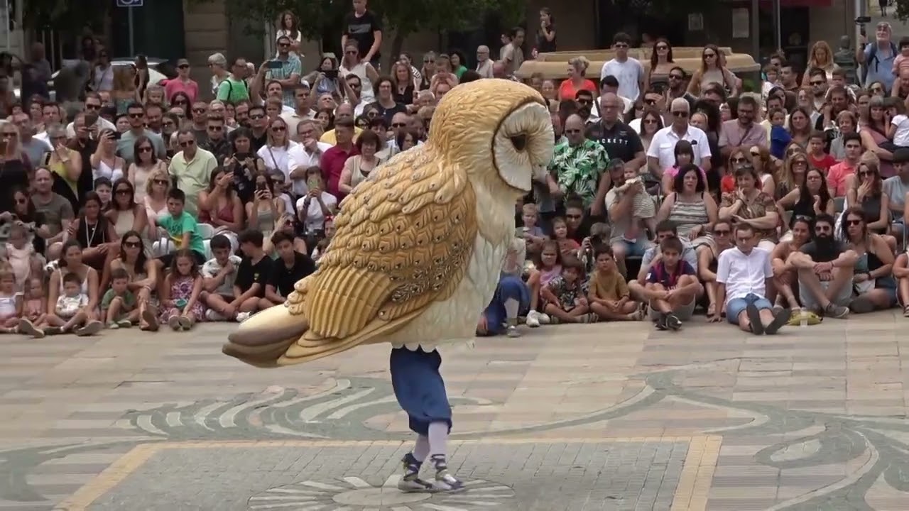 CANAL N - Ballada de l'òliba, bastoners, cascavells, nans i gegants Festa Major 2024