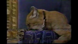 Late Night 'Jarod Miller and the Amazing Wildlife 11/2/99