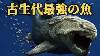 ダンクレオステウスの生態とは？｜頭の鎧は本当に保護用だったのか？