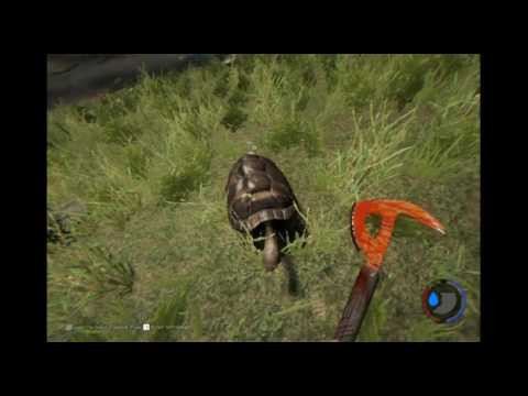 The forest Fix Crack,Crash,Bug,Lag,glitch, and more games ... - 480 x 360 jpeg 13kB