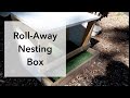 Tired of DIRTY EGGS | Our New Nesting Box