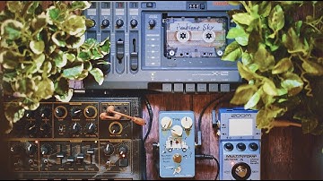 MicroBrute Ambient｜Animals Pedal｜ZOOM MS-70CDR｜Fostex X-12｜soundscape｜experimental