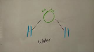 The Polarity of Small and Large Molecules