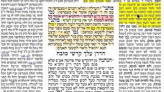דף יומי מסכת מעילה דף יח Daf yomi Meilah daf 18 שמואל נבון