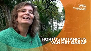 Botanische tuin Amsterdam gaat op de duurzame toer en dat is een hele onderneming