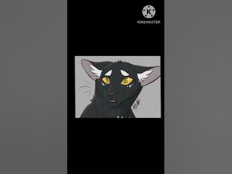 Коты Воители. 🖤Горелый🖤 - YouTube