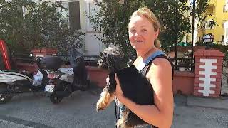 видео: Где вкусно поесть в Махмутларе.  Наша жизнь в Турции. картинка: Где вкусно поесть в Махмутларе.  Наша жизнь в Турции.