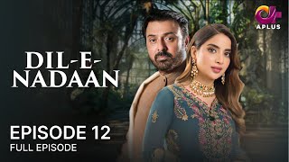 Dil E Nadaan - Episode 12 Noman Ijaz, Saboor Ali, Salman Shahid Stani Drama C7A1O