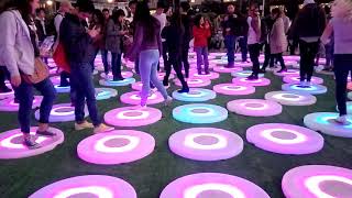 Bellas artes cd mx (Visual Art Week 2017)