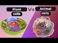 Understanding Plant and Animal Cells