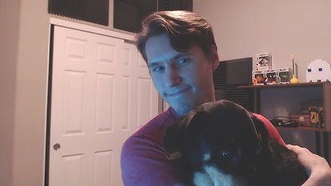 Jerma Bends Reality to His Will (ft. Otto-cam) - Jerma Streams Scribblenauts Unlimited (Long Edit)