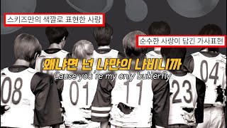 (eng)Stray kids-Butterflies (일본어/영어가사 해석)|스트레이키즈 가사해석