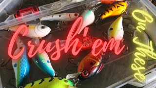 Best Fall Baits On West Point Lake