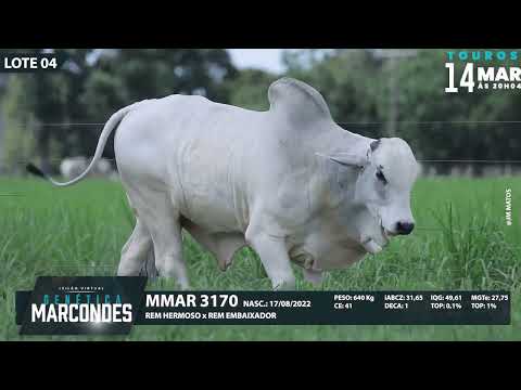 LOTE 04   MMAR 3170