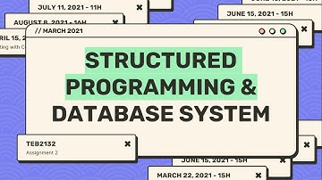 TEB2132 Structured Programming & Database System | Assignment 2