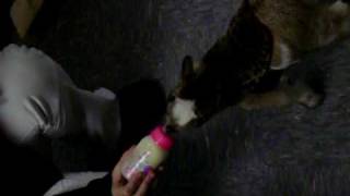 Me Feeding Princess Penelope