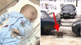 Baby is abandoned and left to freeze to death – but now watch what this cat does