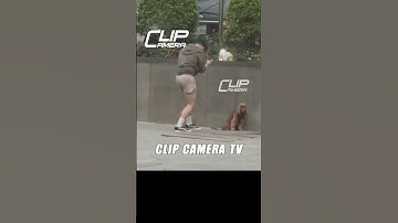 Không Hiểu Thế Giới Ngoài Kia Họ Sống Cái Kiểu Gì #shorts #automobile #minicamera #edit #gaming #art