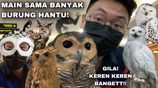 DISINI BANYAK HANTU! MAIN SAMA BERBAGAI JENIS BURUNG HANTU! SERU BANGET!