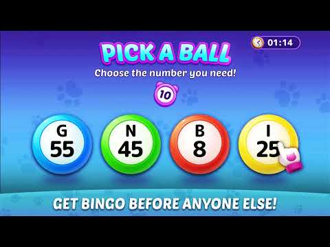 Bingo Haven: Story Bingo Games