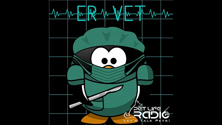 ER Vet - Episode 48 Do Grain Free Diets Cause DCM In Dogs?