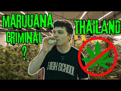 Tayland'da Brokoli Yasaklanacak mı ? - Yeni Brokoli Yasaları !