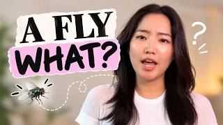 AI teaches a fly how to do UX research LOL