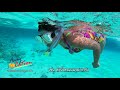 020662 Awaycation Ep113 Milaidhoo Island Resort Maldives