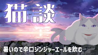 お疲れ様なゆるり #雑談 ～！！ #キャンバスV歌枠リレー 振り返りも！！  【  #初見歓迎 #新人VTuber #タマ公式配信 #猫 #絣華ミタマ 】