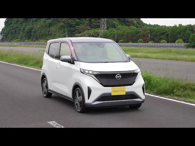 pionunnal ReSTART サクラ 2025年最新】ピオヌンナル リスタート サクラの人気アイテム