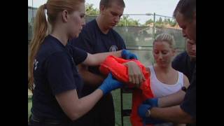FASPLINT Demonstration