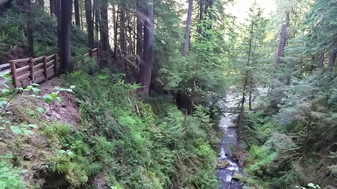 camera iphone 8 plus apk On the Trail to Marymere Waterfall in Olympic National Park, Washington