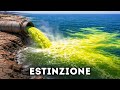 L'oceano potrebbe smettere di respirare nel 2026: ecco perché