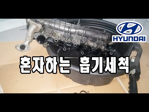 Alone, How to clean &rsquo; HYUNDAI intake manifold U2 Diesel &rsquo;