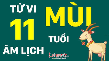 Tử Vi Tuổi Mùi Tháng 11 Âm Lịch Năm 2019 Tiền Đầy Túi Tình Đầy Tim - Tử vi 12 con giáp