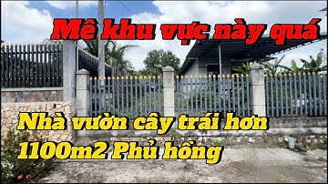 nhà vườn có trái cây ở BR-VT. chú BẢO cần bán để xoay sở công việc gia đình