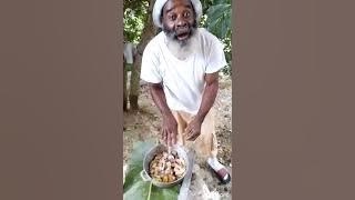 KING JOHNNY OUT SIDE COOKING CURRY CHICKEN & WHITE RICE