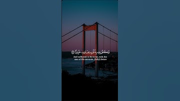 #قران_كريم #قرآن #راحة_نفسية #تلاوة_خاشعة #اكسبلور_explore #اكسبلور