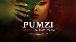 PUMZI – Singeli Beat Instrumental | Prod. KG Midundo | Singeli Type Beat 2026
