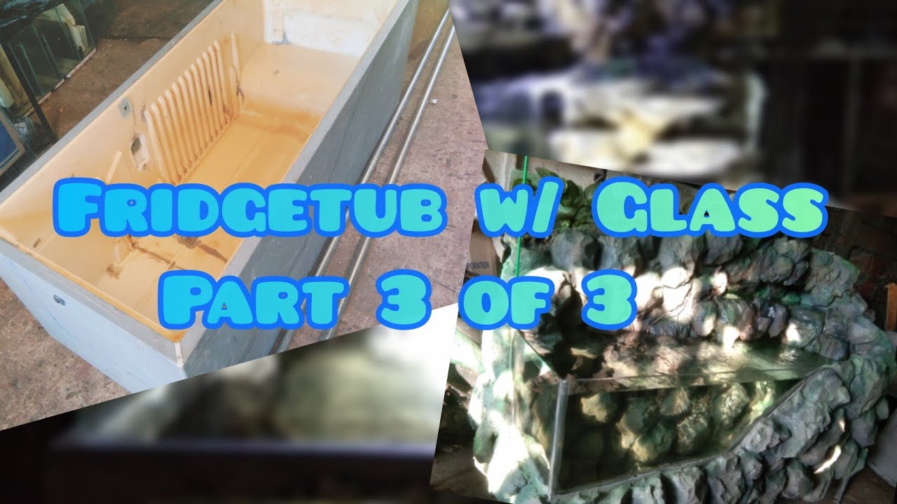 Ref Tub Fish DiY Reftub with Glass from scratch. Build 3/3 - YouTube