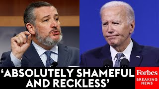 Ted Cruz Doesn't Hold Back Blasting Biden Admin Over Decision 'Designed To Hamstring' Trump Admin