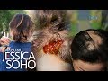 Kapuso Mo, Jessica Soho: Hair Disasters