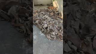 #old house 🏠🏠🏠 cleaning 🧹🧹🧹🙂‍↕️🙂‍↕️🙂‍↕️.