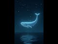 Starlight Whale Under the Night Sky./夜空の下の星のクジラ.