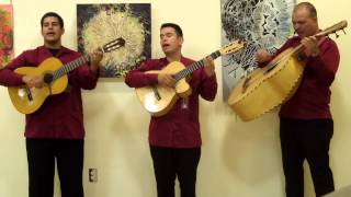 Malaguena Salerosa played by Trio Los Amigos de New Mexico chords