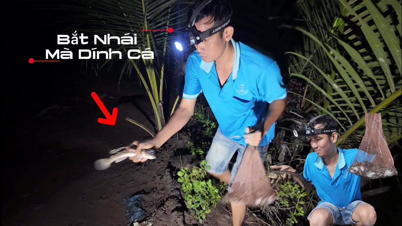 Nữa Đêm 2 Vợ Chồng Đi Bắt Nhái Trúng Mánh Và Bắt Luôn Cá Thòi Lòi Về Nấu Cháo Nữa Đêm