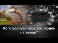 Кого волнует избыток людей на земле